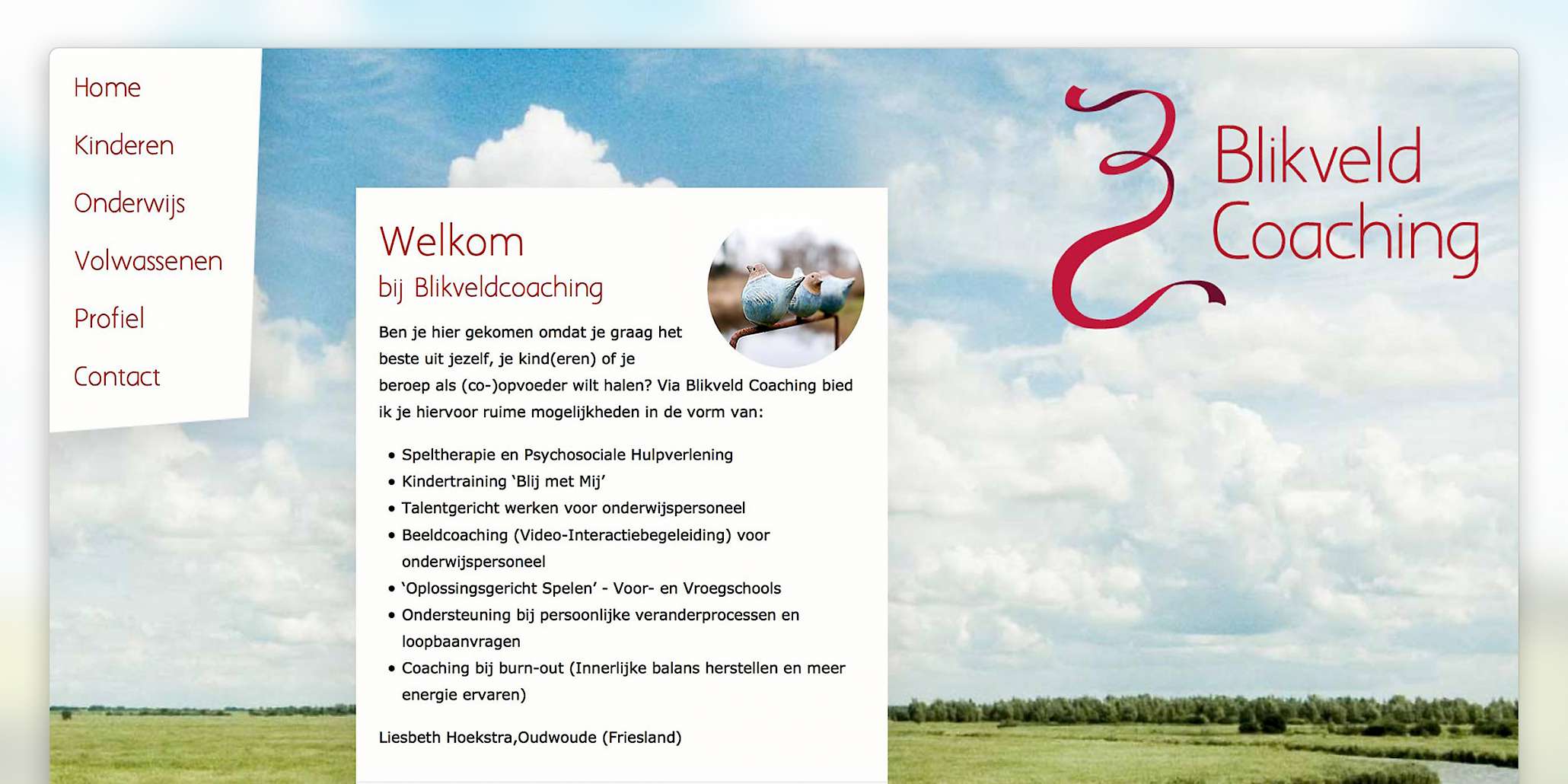 Blikveld Coaching homepage